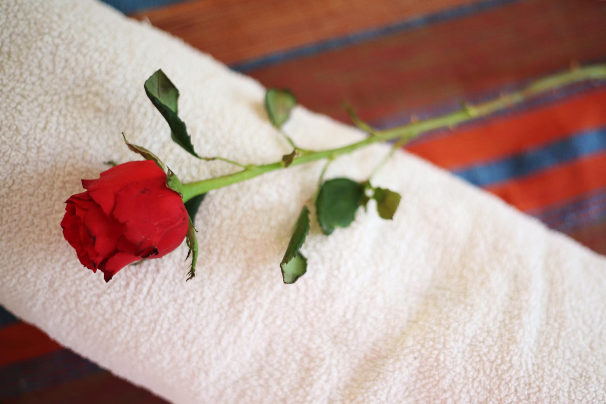 מרקש Riad White Flowers מראה חיצוני תמונה